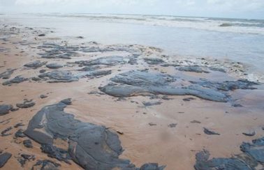 8 Estados do Nordeste protocolam denúncia sobre vazamento de petróleo no litoral