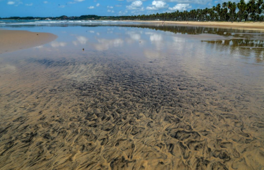 Veja a lista de praias e outros pontos atingidos pelo óleo no Nordeste