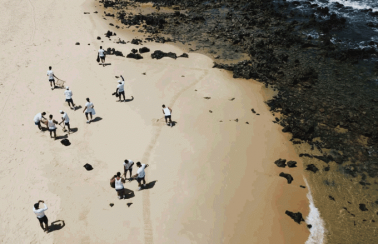 Marinha informa que já retirou 900 toneladas de óleo em praias no Nordeste