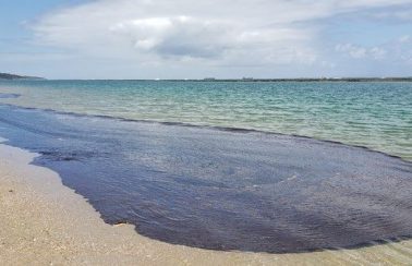Óleo encontrado nas praias do Nordeste vem de 3 campos da Venezuela, diz Petrobras