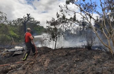 Incêndios ambientais aumentam 31% no RN em 2019, diz Corpo de Bombeiros