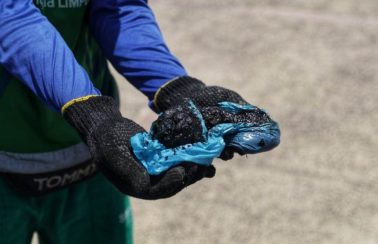 Manchas de óleo reaparecem no litoral do Nordeste