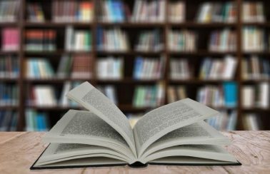 Bibliotecas do Recife recebem colônia de férias gratuita