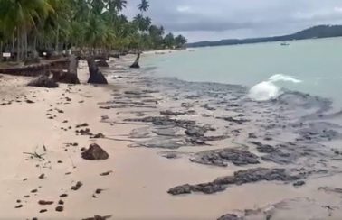 Cinco meses depois, fragmentos de óleo ainda são encontrados em praias de Pernambuco