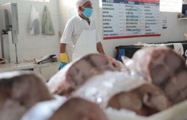 Semana Santa: Recife intensifica fiscalização da venda de peixes e frutos do mar