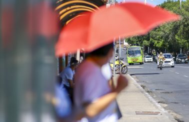 Teresina é a capital do Nordeste com a menor curva em casos de Covid-19
