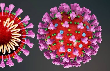 Coronavírus: Brasil registra novas 751 novas mortes no pior dia da pandemia
