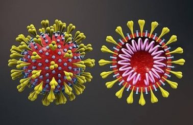 Pela 1ª vez, Brasil registra mais de mil mortes por Covid em 24 horas