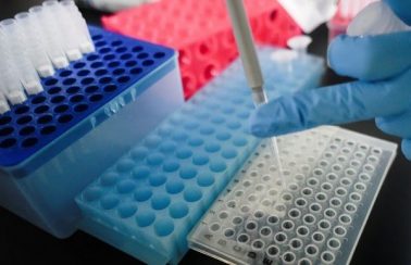 Piauí registra novo recorde com 215 casos de coronavírus em 24h; estado tem 2.852 testes positivos e 91 mortes