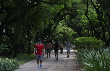 Parques e praças do Recife entram no roteiro de sanitização para conter avanço do novo coronavírus