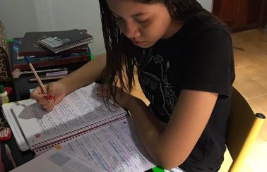 Estudantes da rede estadual do PI têm o menor índice do país de acesso ao ensino online