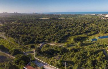 Ibama embarga intervenções em área que poderá receber empreendimento imobiliário em Fortaleza