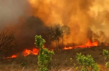 Ceará decreta estado de emergência ambiental devido a incêndios pela primeira vez