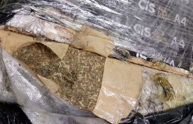 Homem é preso com quase 16 kg de maconha em aeroporto de capital nordestina
