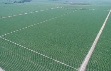 Usinas Santa Cruz e Santa Maria vão investir R$ 192,4 milhões no extremo sul da Bahia