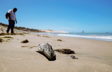 Oito pontos do litoral cearense serão analisados um ano após surgimento de manchas de óleo