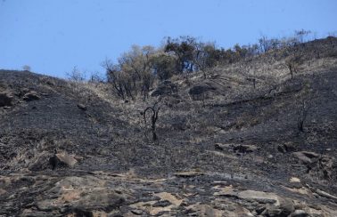 Paraíba tem 126 cidades com alertas de baixa umidade