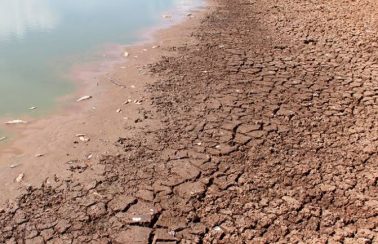 Pernambuco declara situação de emergência por estiagem em 55 municípios do Sertão