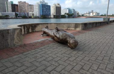 ‘Depreciação do patrimônio público e até de nossa cultura’, diz neta de Ariano Suassuna sobre escultura depredada no Recife