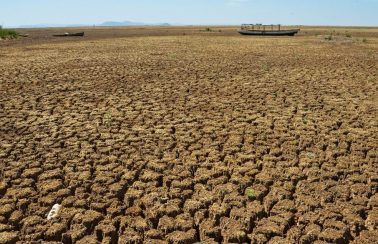 Seca avança em Pernambuco e atinge mais da metade do território, aponta monitor
