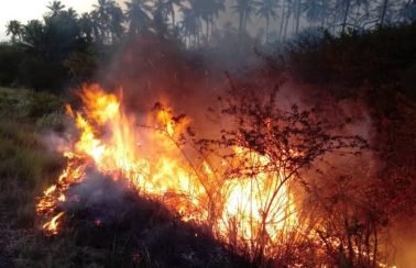 Incêndio florestal atinge mais de 3 mil hectares e parte de reserva de proteção ambiental no RN