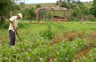 Ceará é o Estado do Nordeste a receber mais recursos do PAA
