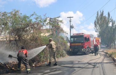 Corpo de Bombeiros do RN atendeu 14 ocorrências de incêndios florestais em 24h