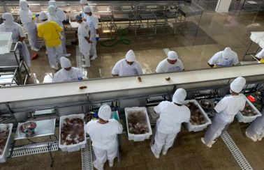 Setor de Pescados prevê investimentos de R$ 214,6 milhões em unidades industriais na Bahia