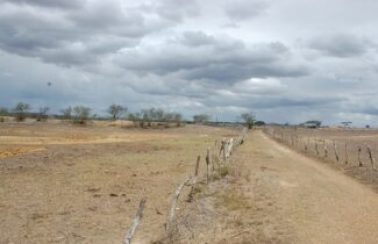 Dez cidades sergipanas estão em situação de emergência devido à seca