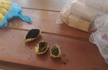 Policiais interceptam entrada de drogas dentro de bananas em cidade do Nordeste