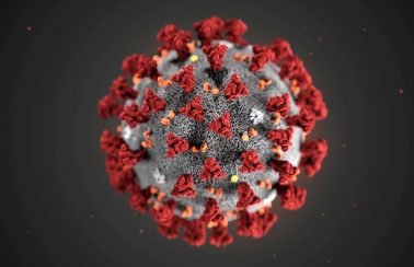 Mundo tem maior nº diário de mortes por Covid desde o início da pandemia