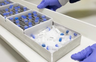 Disjuntor de posto de saúde de cidade do Nordeste é desligado e vacinas contra a Covid-19 podem ser perdidas