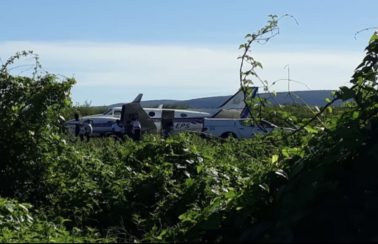 Avião com doses da vacina da Covid-19 bate em jumento que estava em pista de aeródromo da Bahia