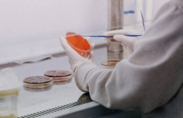 Pernambuco confirma cinco casos da variante P.1 do coronavírus, mostra estudo da Fiocruz