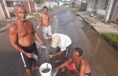 Moradores pegam peixes em ruas após fortes chuvas no Recife nesta terça (13)