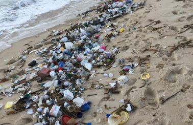 Consórcio Nordeste cria ‘rede de apoio’ e estados devem enviar especialistas para analisar lixo em praias do RN e PB