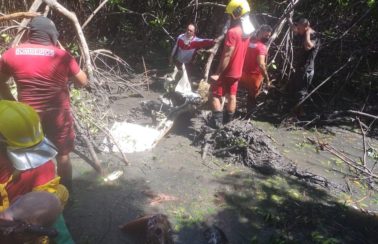 Avião de pequeno porte cai em região de manguezal na Zona Sul de Aracaju; uma pessoa morreu