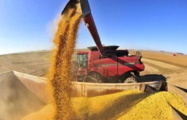 Exportações baianas cresceram 55,5% em abril, atingindo US$ 840,5 milhões