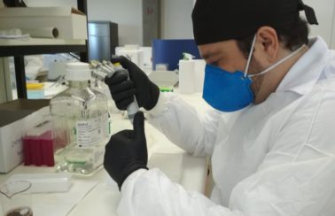 Variantes mais contagiosas do novo coronavírus se espalharam pela Bahia, conclui laboratório