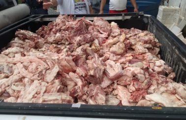 Operação apreende 900 kg de alimentos estragados em frigoríficos de Maceió