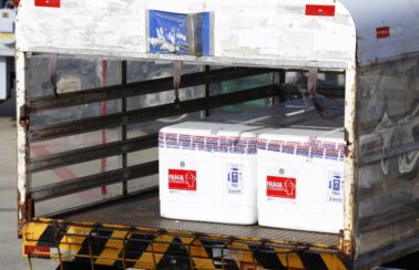 Ceará recebe novos lotes com 319.960 doses da Pfizer e CoronaVac neste fim de semana, diz Camilo