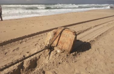 ‘Caixas misteriosas’ em Salvador são fardos de borracha de navio nazista que estavam afundados no mar há 80 anos, diz pesquisador