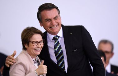 MPF investigará liberação de agrotóxicos no governo Bolsonaro