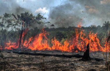 Em melhor cenário, temperatura global pode subir 1,5°C em duas décadas, diz IPCC