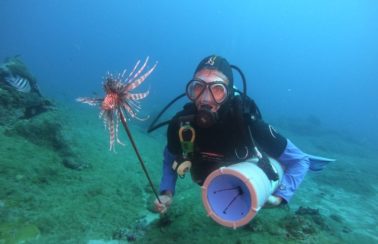 Especialistas do Caribe visitam Fernando de Noronha em outubro para ajudar a conter proliferação de peixe invasor venenoso