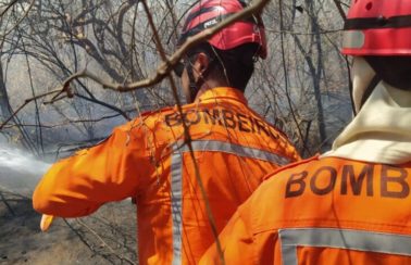 Corpo de Bombeiros realizam força-tarefa para combater focos de incêndios em cidades do Piauí