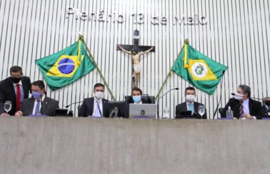 AL do Ceará aprova mensagem do Executivo que institui Política Estadual de Proteção Animal