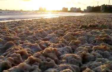 Espuma densa do mar invade faixa de areia da Praia do Marciano, em Ilhéus, no sul da BA