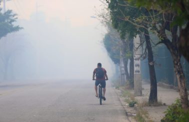 Incêndio que dura horas no Parque do Cocó deixa bairros de Fortaleza cobertos de fumaça