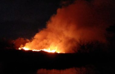 Fortaleza: pelo menos 20 hectares do Cocó foram afetados por incêndio